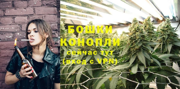 гидропоника Абаза